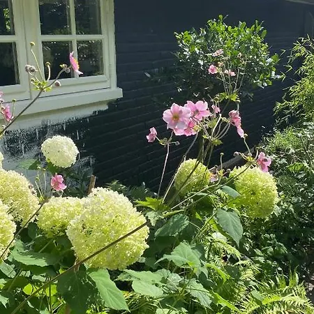 De Schuilhoek Private Guesthouse Blaricum Exterior photo